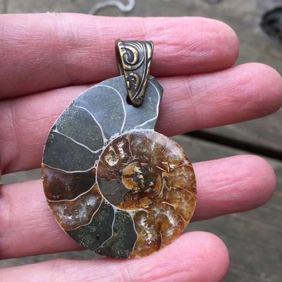 Ammonite Fossil Pendant with Brass Bail NWOT - Picture 8 of 14